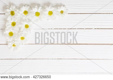 The White Chrysanthemum On White Wooden Background