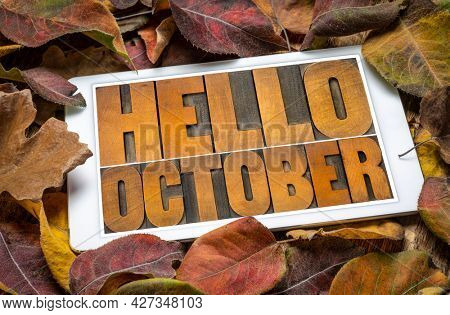 Hello October - word abstract in vintage letterpress wood type blocks on a screen of a digital tablet against dried leaves
