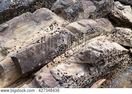 Eroded Rocks With Holes And Driftwood At Kalaloch Beach In Olympic National Park