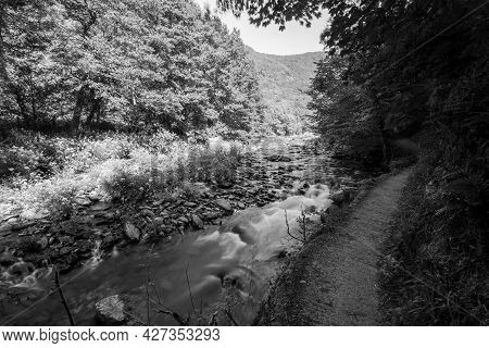 Watersmeet In Exmoor National Park