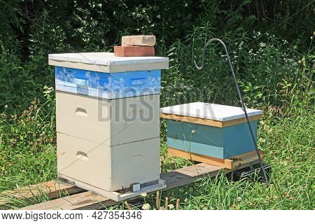 Colorful Langstroth Beehive Among Brilliant Green Background Copy Space.