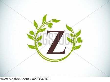 Initial Letter Z Sign Symbol With Olive Branch Wreath. Round Floral Frame Made By The Olive Branch. 