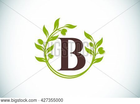 Initial Letter B Sign Symbol With Olive Branch Wreath. Round Floral Frame Made By The Olive Branch. 