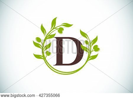 Initial Letter D Sign Symbol With Olive Branch Wreath. Round Floral Frame Made By The Olive Branch. 