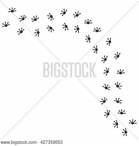 Gecko Footprint Vector Illustration Design