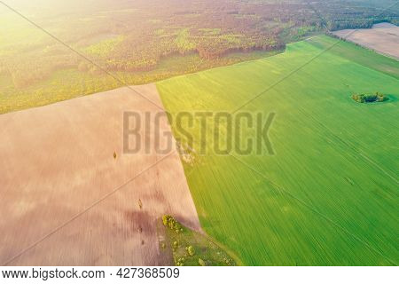 Aerial View Of Agricultural And Green Fields In Countruside. Nature Landscape In Summer Day
