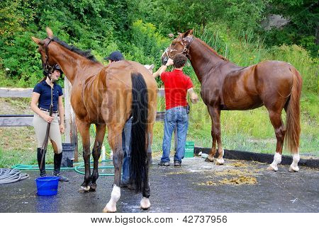 BROMONT INTERNACIONAL