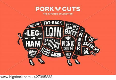 Pork, Pig. Scheme, Diagram, Chart Pork, Butcher Guide. Poster For Kicthen Or Bar Wall Design. Vintag