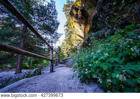 Path In The Forest Between High Stone Walls And Huge Pine Trees.