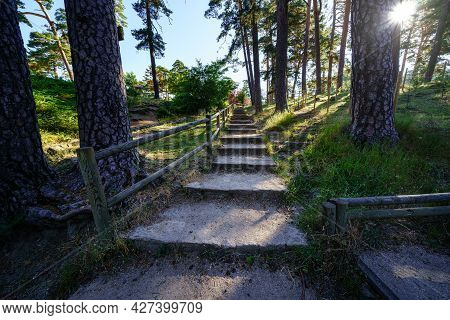 Footpath With Steps In The Forest With Tall Trees And Sun Rays. Navacerrada.
