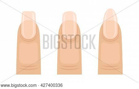 Female Finger With Nail Form And Shapes Vector Set
