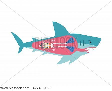 Diver Skeleton Inside Shark. Shark And Diver. Marine Predator Ate Frogman. Diver's Death