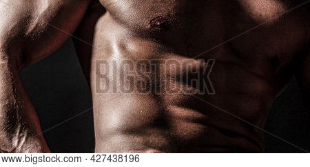 Torso Six Packs Attractive. Six Pack Abs. Strong Man With Torso. Sexy Muscular Man. Sensual Mans Bod