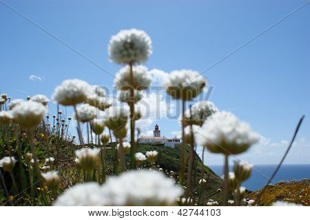 Faro fra i fiori