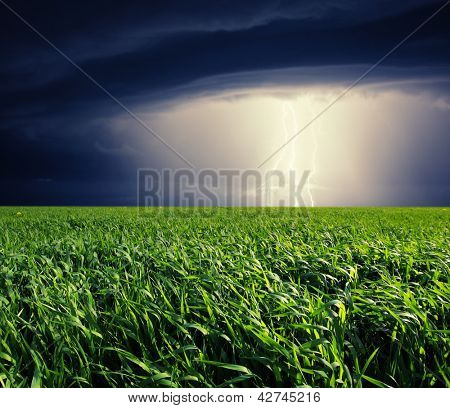 Temporale con fulmini in prato verde. Nubi minacciose.