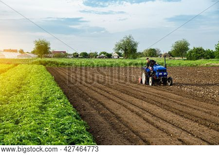 The Farmer Works The Field After Harvest. Blue Tractor On A Farm Field. Milling Soil, Crushing Befor