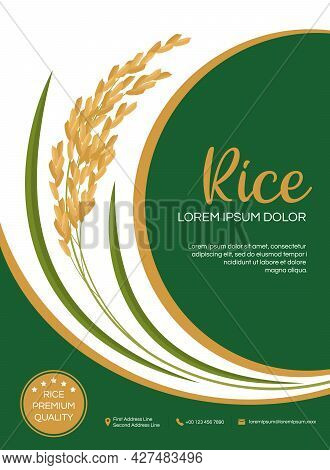 Template Label And Icons For Rice Packaging Product Design With Green And Gold Paddy Rice Vector Des