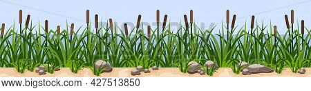 Reeds In Green Grass Near River Or Lake, Rock Stones On Sand. Repeat Seamless Landscape For Cartoon 