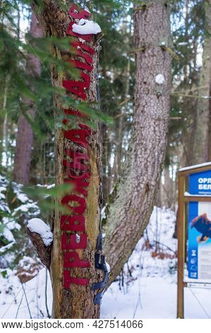Curonian Spit, Kaliningrad Region, Russia, January 31, 2021. Posters Of Rare Animals And Birds. Stan