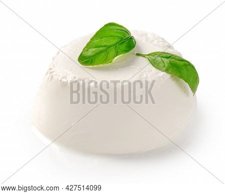 Fresh Ricotta Cheese Isolated. Ricotta Soft Cheese With Basil Leaves On White Background. Cheese For