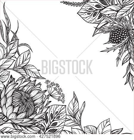 Beautiful Vector Frame With Black And White Feverweed, Protea, Peony Flowers And Leaves.