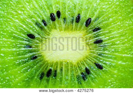 Kiwi Slice Wallpaper