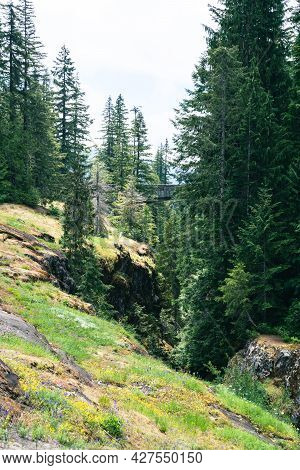 Scenery Along The Bridge Overlook Trail At The Box Canyon Of The Cowlitz River In Mt Rainier Nationa