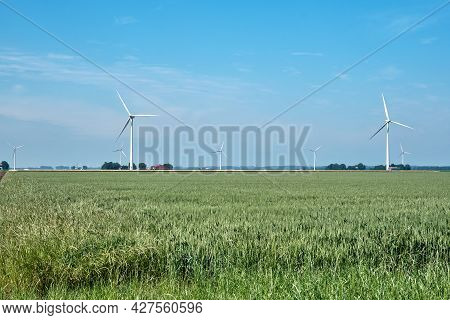 Flevo Polder, The Netherlands, June 28, 2021, Typical Dutch Landscape With Grain Field, Farmland, Fa
