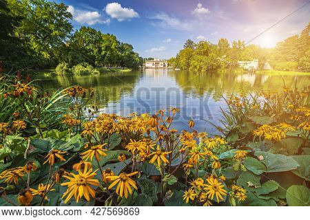 Lazienki Park - Baths Park Or Royal Baths Also Rendered Royal Baths Park Is The Largest Park In Wars