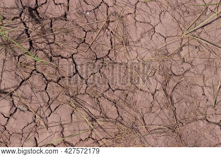Top View Of Cracked Arid Soil With Dry Grass. Desolate Barren Land For Concept Background About Glob