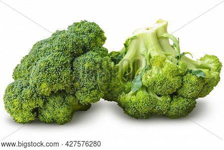 Broccoli Isolated On White Background Stock Photo