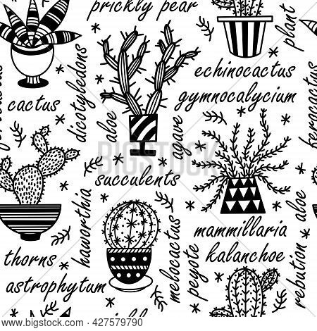 Cute Cacti In Pots Seamless Vector Pattern. Hand-drawn Cactus On A White Background. Black Outline O