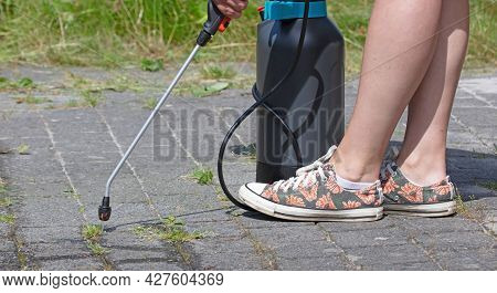 Spraying Pesticide With Portable Sprayer To Eradicate Garden Weeds