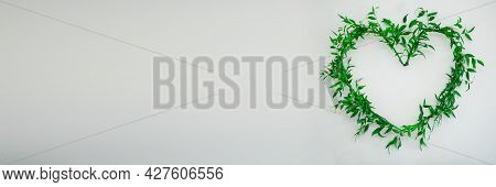 Arranged Heart Symbol Made Of Green Ruscus Branches On Bright Background In Panoramic Frame.