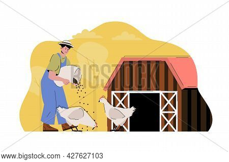 Poultry Farming Concept. Farmer Feeding Chickens, Works On His Farm Situation. Aviculture, Agribusin