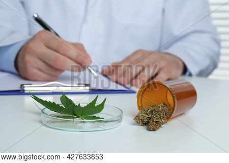 Doctor Writing At Table, Focus On Medical Hemp