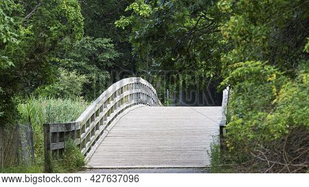 The Bridge That Cross Country Runners Cross While Racing At Sunken Meadow State Park In Kings Park L