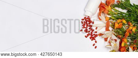Banner With Bioadditive Tablets And Medicinal Plants With Place For Text Copy Space. Lutein, Herbal 