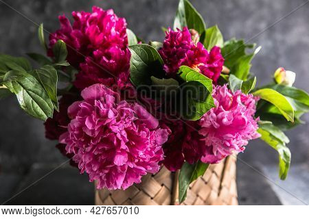 Beautiful Peonies In Wicker Basket On Wooden Table. Peonies Field In Spring. Pink Peonies Flowers. B