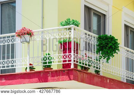 Beautiful Vintage Balcony With Colorful Flowers And Doors