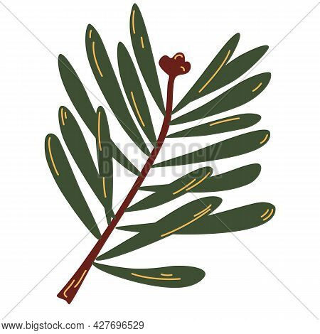 Spruce Twig. Green Tree Branch. Holiday Decoration, Winter Symbol, Christmas Symbol. Vector Illustra