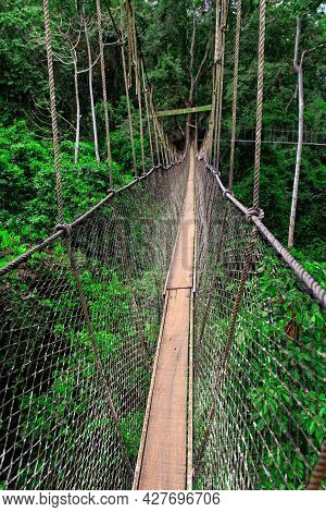 Rope Walkway In Kakum National Park, Ghana