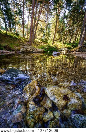 Stream With Transparent Water And Reflections Of The Forest Trees. Navacerrada.