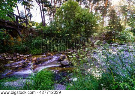 Small Stream In The Green Forest At Sunrise With Sun Rays Through The Trees.