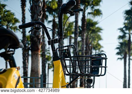 Yellow Bicycle Close-up In The Middle Of Tall Palm Trees.