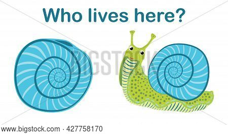Game For Children Who Lives Here Pink Snail And Shell, Scandinavian Style