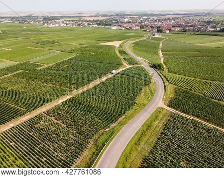 Aerial View On Green Vineyards In Champagne Region Near Epernay, France, White Chardonnay Wine Grape
