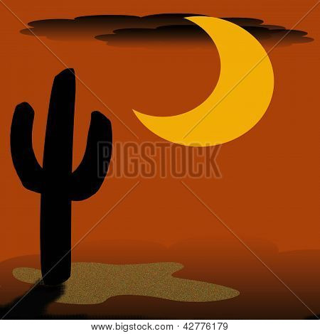 cactus del desierto en la noche
