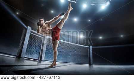 Kick. Sport Concept. Mma Fighter In Octagon. Athlete. Mawashi. Mma Cage