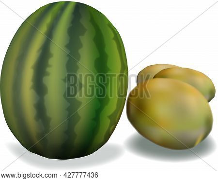 Watermelon And Kiwi Illustration On White Background